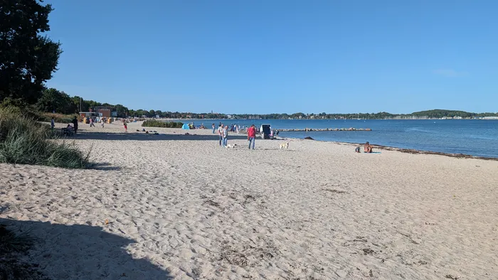 Hundestrand in Eckernförde an der Promenade, zwei Hunde laufen frei über den hellen Sand, links Strandkörbe und das Hotel Seelust, dahinter die Stadt mit dem Kirchturm und den Masten im Hafen, rechts eine Steinbuhne im flachen Wasser