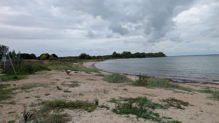 Bucht bei Habernis unter grauen Wolken, im Vordergrund eine sandige Fläche mit Schaukelgerüst und Bank, dahinter zieht sich der Strand in einem Bogen zu einer bewaldeten Landzunge, rechts die Flensburger Förde