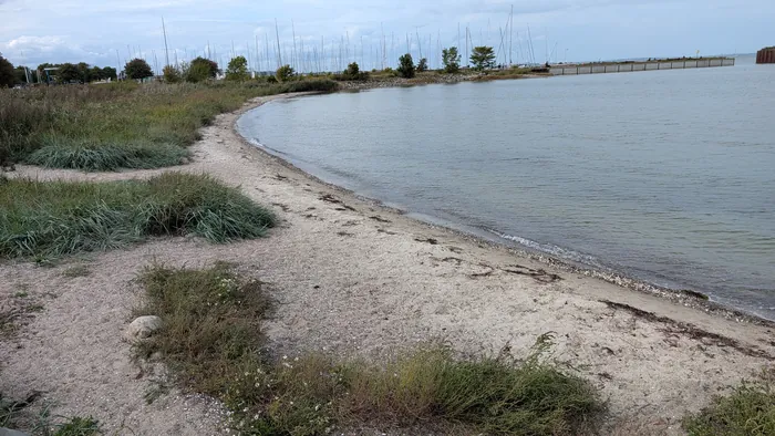 Kleine Sandbucht bei Lehbek, am Spülsaum liegen Muschelschill und dunkler Tang, im Hintergrund die Masten der Segelboote im Hafen und eine Spundwand, im Vordergrund Strandhafer und niedrige Büsche