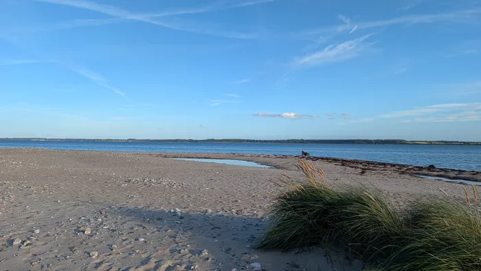 Naturstrand bei Ludwigsburg am Abend, vorn Dünengras und ein Strand aus Sand und Steinen, dahinter die blaue Eckernförder Bucht bis zum bewaldeten Ufer gegenüber