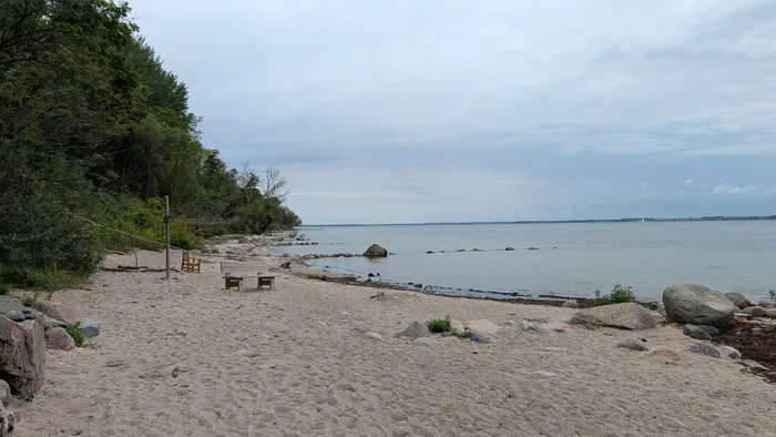 Sandstrand bei Neukirchen mit großen Findlingen im flachen Wasser, links ein bewaldetes Steilufer, auf dem Sand zwei Bänke und ein Holzpfahl, am Horizont Segelboote auf der Flensburger Förde