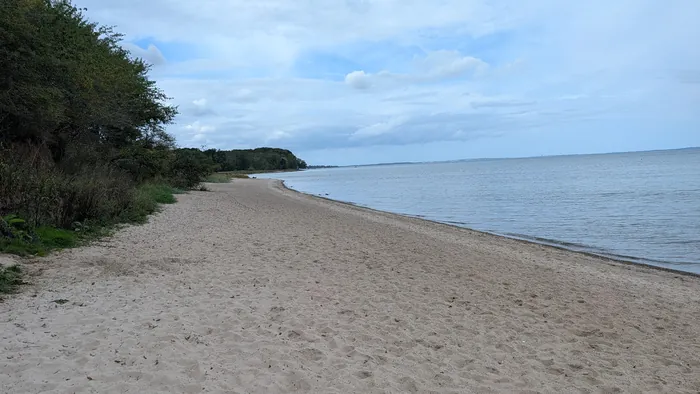 Breiter heller Sandstrand bei Ohrfeldhaff mit vielen Fußspuren, links dichte Bäume und Büsche über einer niedrigen Abbruchkante, rechts das ruhige Wasser der Flensburger Förde