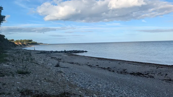 Strand bei Waabs mit vielen Steinen und Tang, links eine niedrige bewachsene Steilkante, in der Mitte eine Steinbuhne mit einer Person, dahinter das ruhige Wasser der Eckernförder Bucht