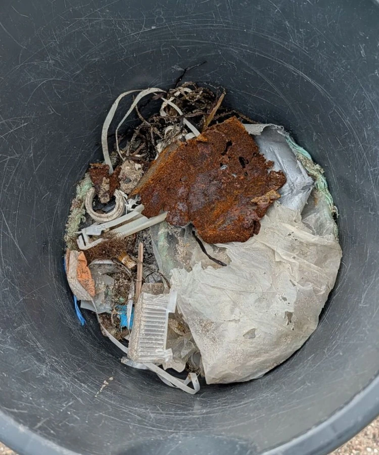 Blick von oben in einen grauen Eimer: ein rostiges Blechstück, ein Fetzen Folie, Schnüre, Plastikbruchstücke und ein Stück Seegras.