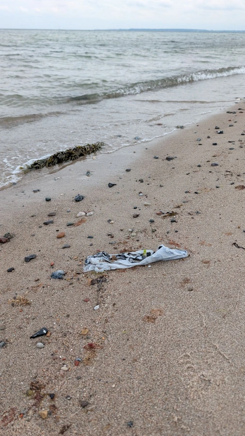 Ein Fetzen durchsichtige Folie liegt auf nassem Sand nahe der Wasserkante, dazwischen kleine dunkle Steine.